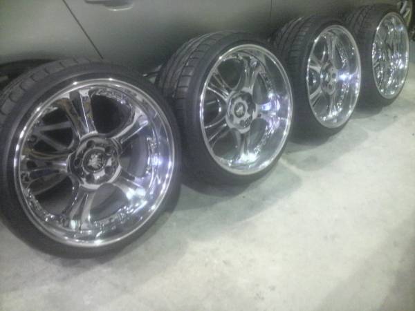 WEDS KRANZE CERBERUS