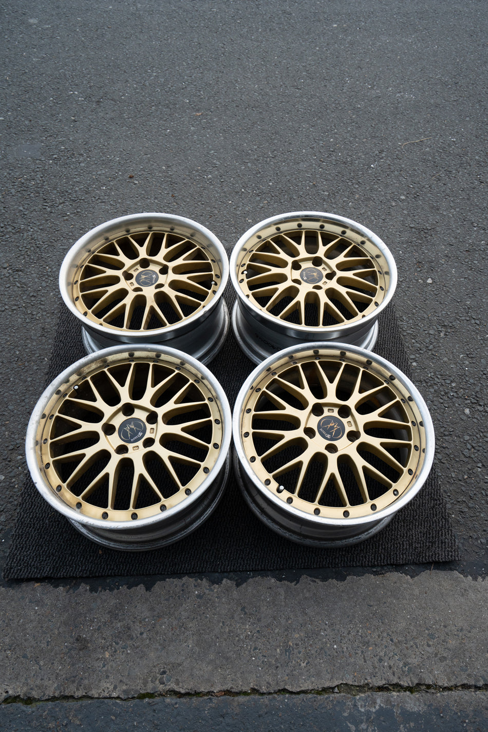 ALGERNON INTELESSE MESH