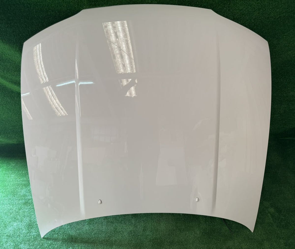 NISSAN SKYLINE R33 BCNR33 GTR OEM BONNET